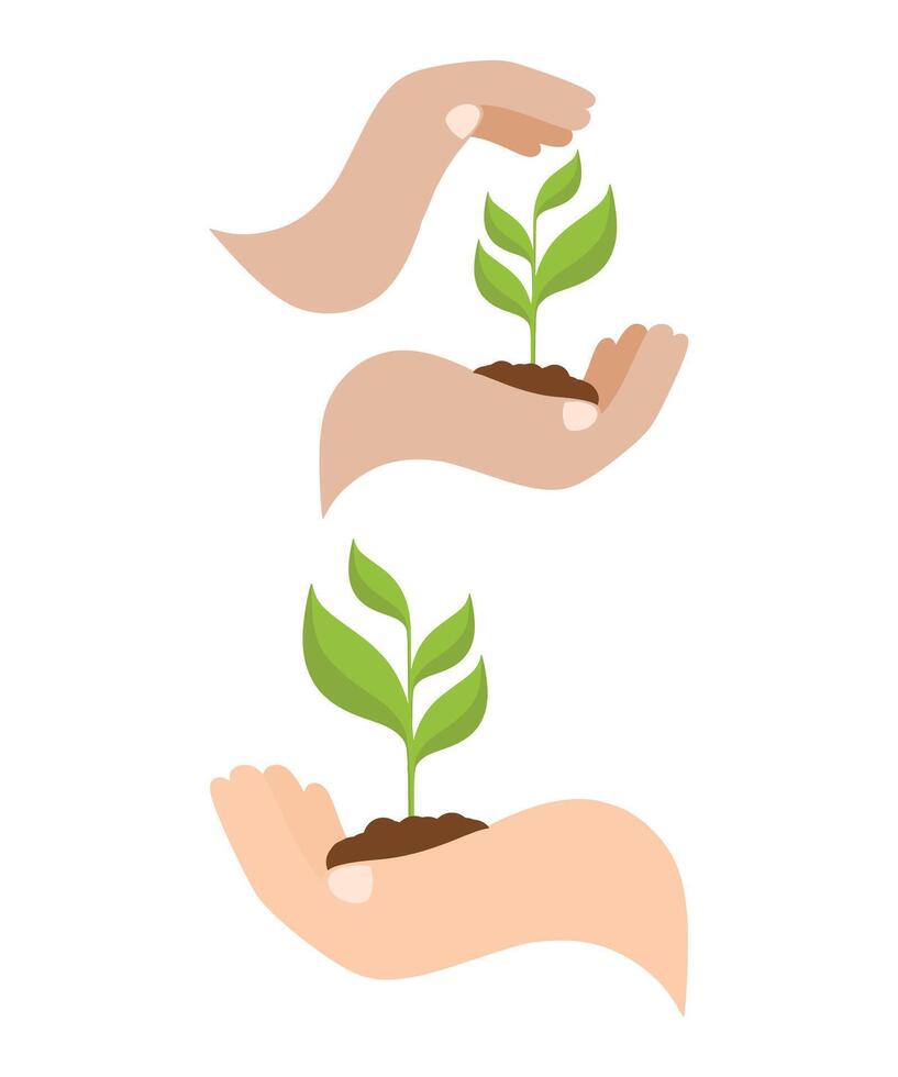 Hands Nurturing a Growing Plant. vector