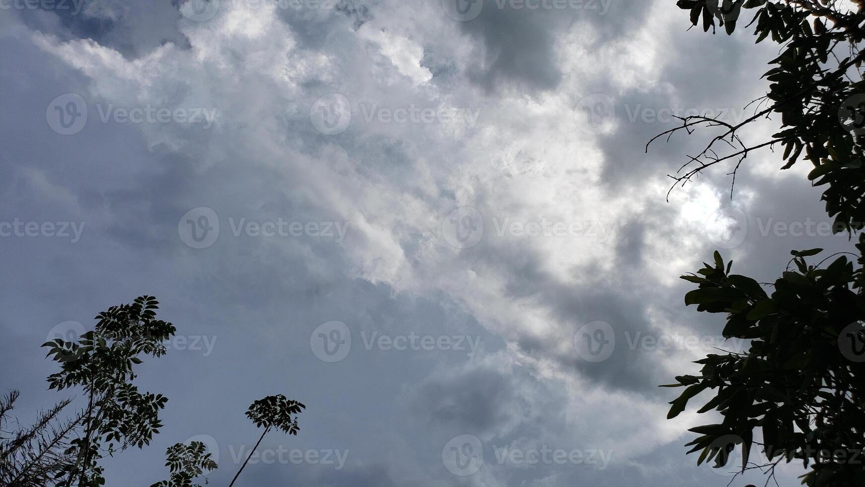 Silhouetted Tree Branches Against a Cloudy Sky photo