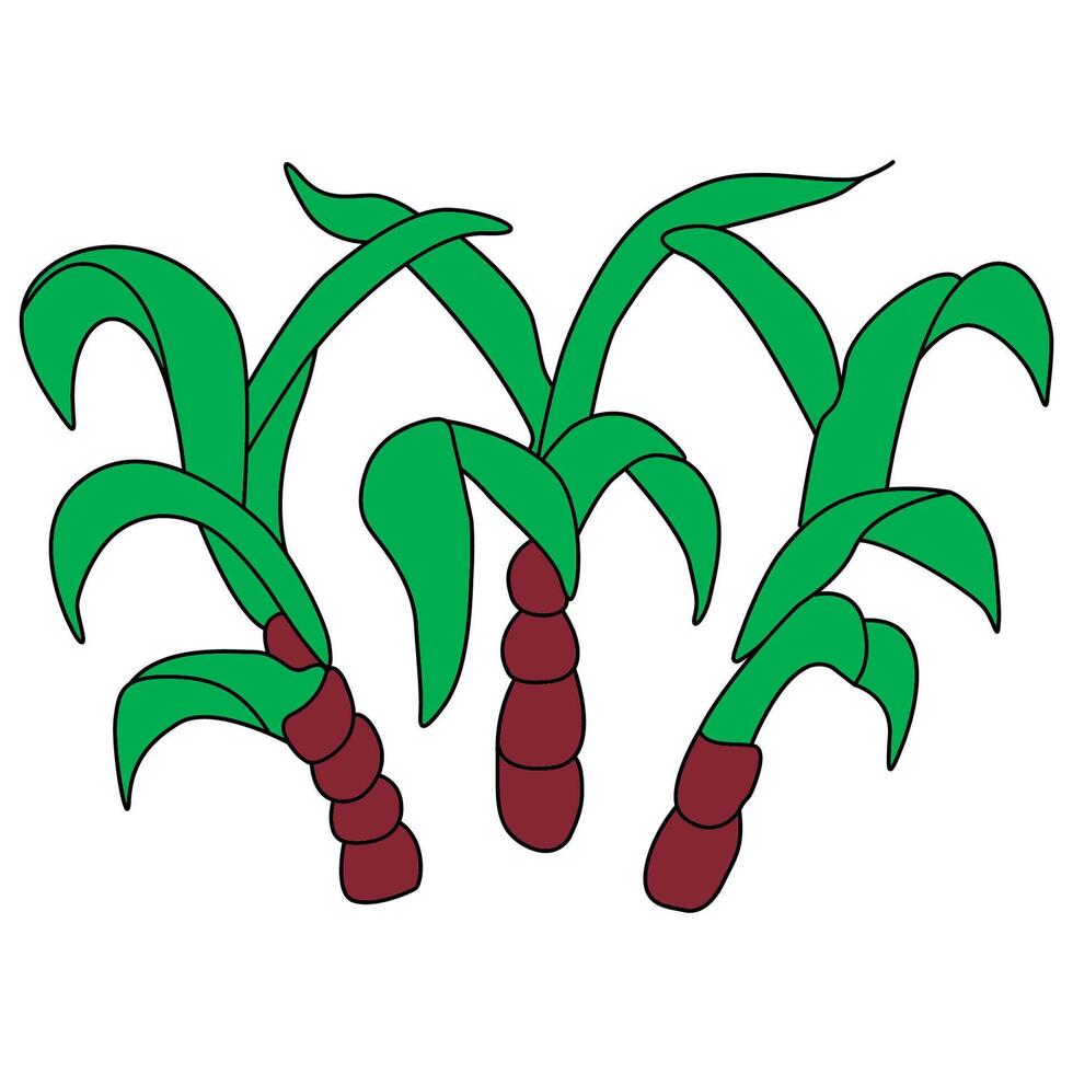 sugar cane Fiji element flag national material design vector
