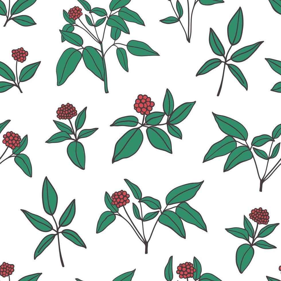 Ginseng branches with leaves and berries seamless pattern. Chinese medicinal plant design for textile, fabric, wrapping paper vector