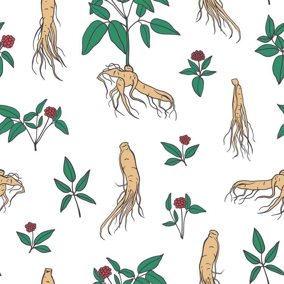 Ginseng root with steam, leaves and berries seamless pattern. Chinese medicinal plant design for textile, fabric, wrapping paper vector