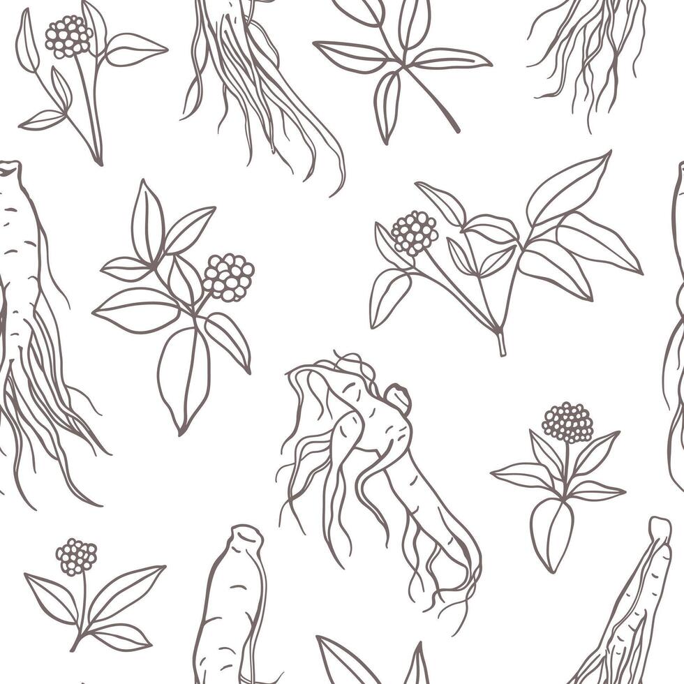Ginseng root hand drawn seamless pattern. Medicinal plant sketch style design for textile, fabric, wrapping paper vector