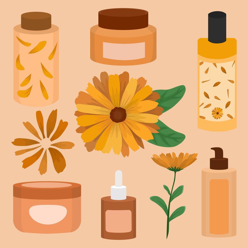 Calendula skincare product vector