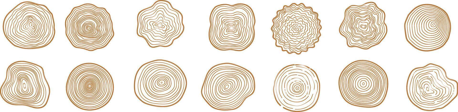 Tree rings, hand-drawn wood slice texture, abstract tree age year circle, line wooden circular ripple, nature timber vector
