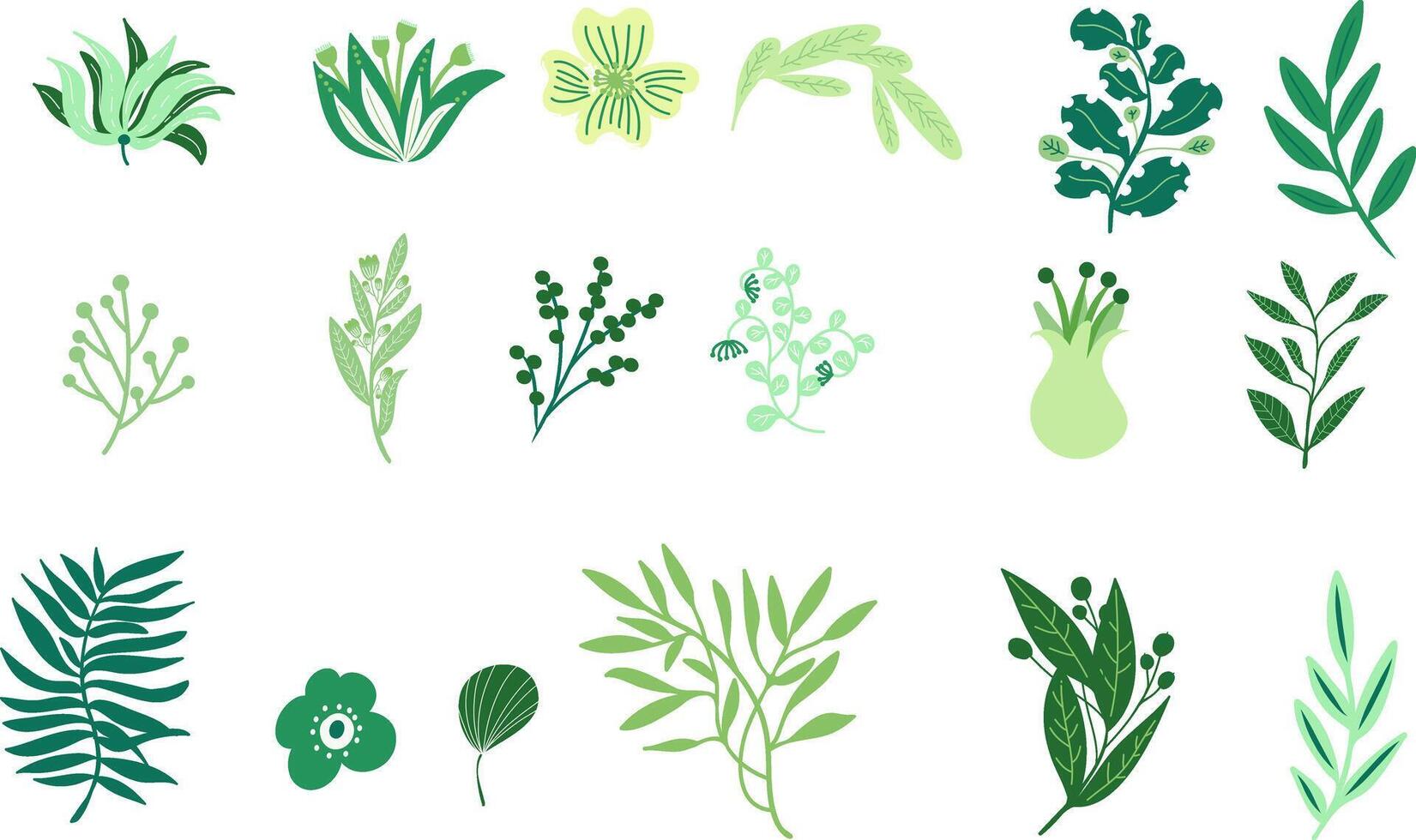 A set of vibrant floral elements in flat colors, featuring an assortment of spring and summer wildflowers, plants vector