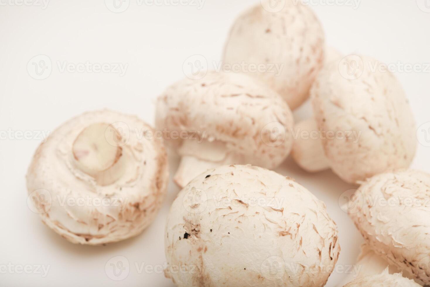 Fresh champignons on a white plate. Mushrooms on a white background. photo