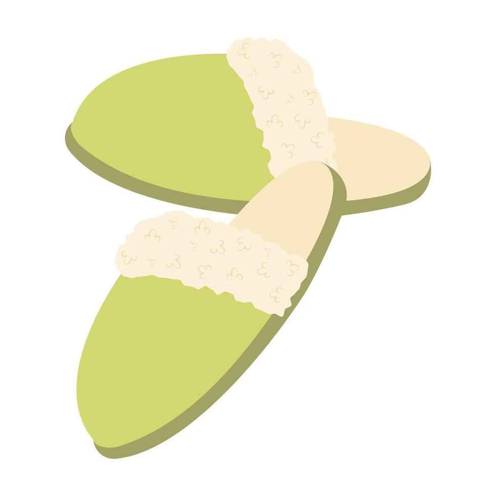 Soft and cozy house slippers illustration for women and children vector