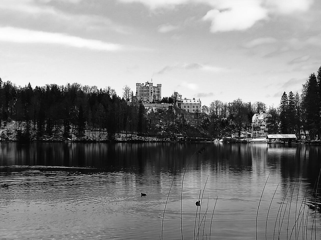 A beautiful black and white landscape with a castle in the background photo