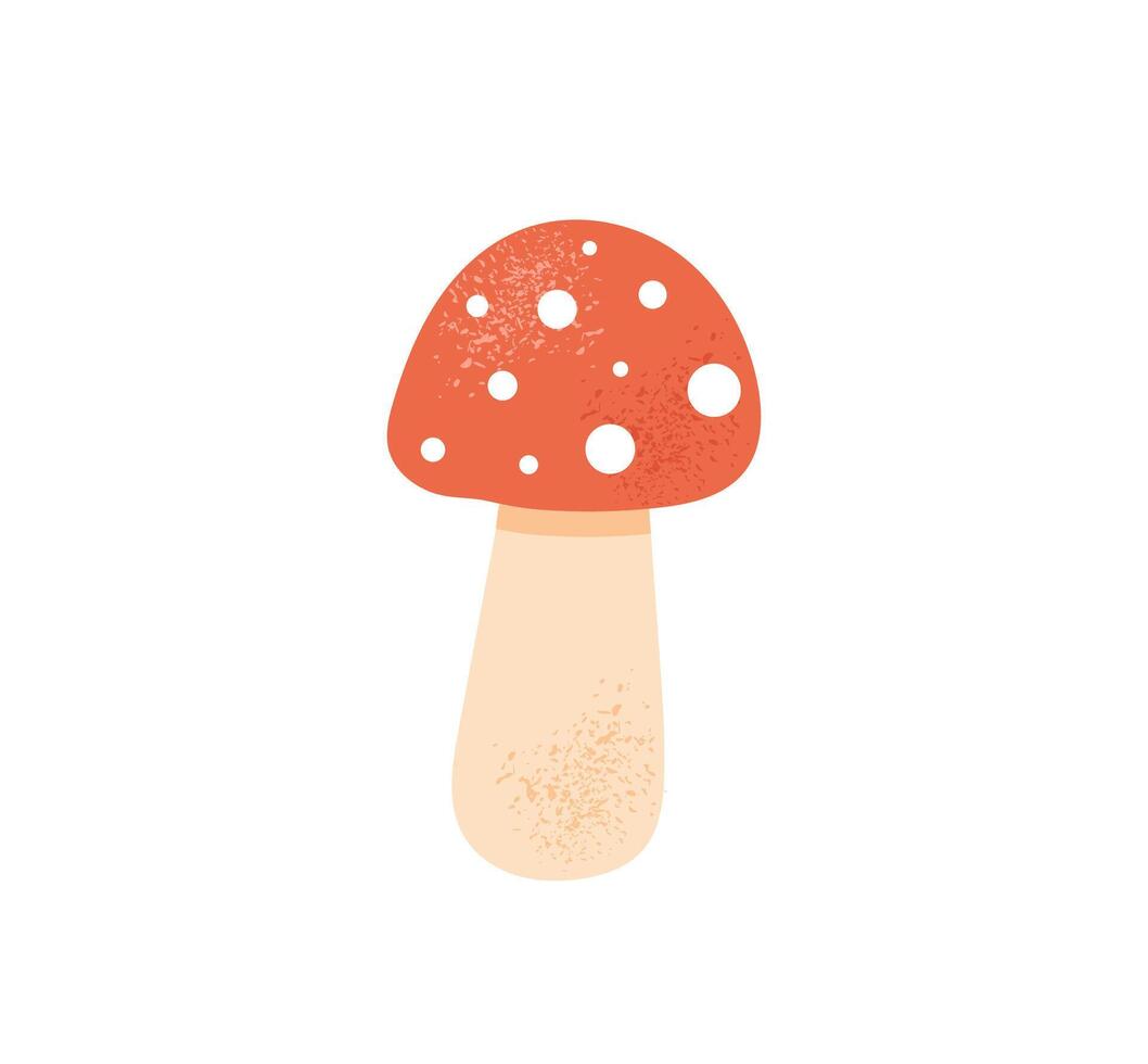 Cute red amanita mushroom, poisonous fly agaric. Toxic autumn or fall fungus with white spotted cap. Hand drawn illustration isolated on white background. Flat cartoon style vector