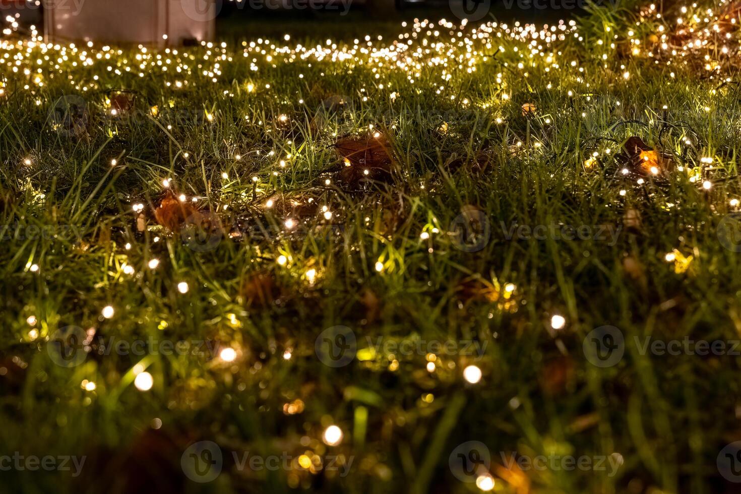Glowing lights illuminate grass in a serene outdoor setting during nighttime gathering photo