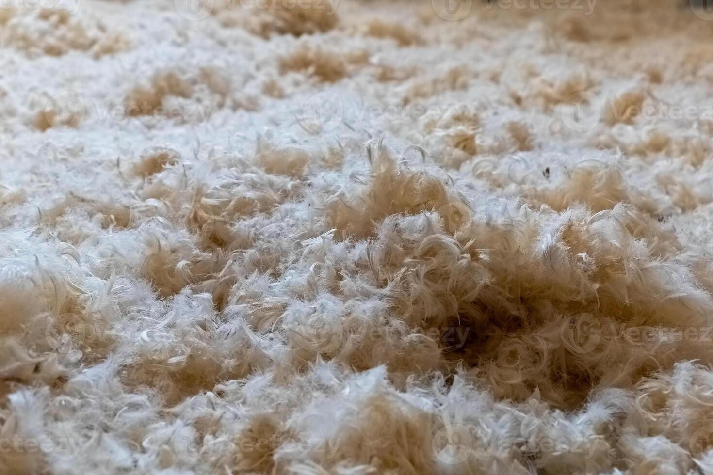 Soft, fluffy texture covering the ground in a natural environment during daytime photo
