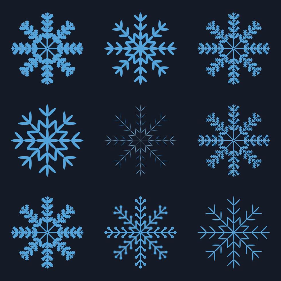 Snowflake Icon. Snowflakes. Ice Crystal Winter Symbol. Christmas Logo. Xmas Sign. Variations vector