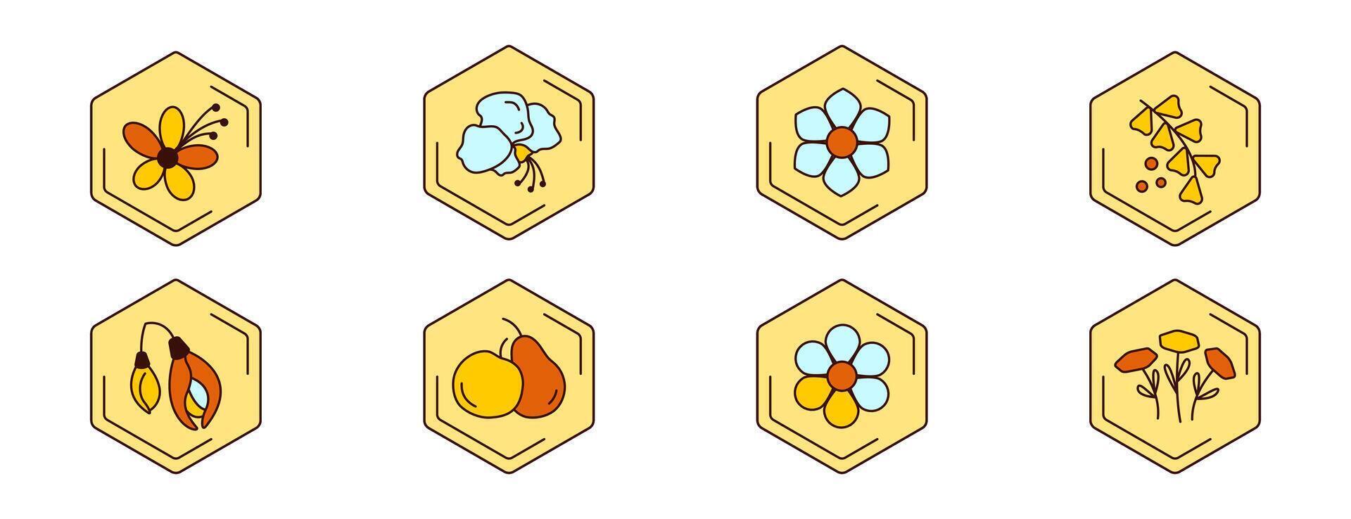Colored flower icons. Shape of hexagonal honeycomb with flowers. Theme of beekeeping, pollen, acacia wildflowers. sweet clover, calendula, chamomile. vector