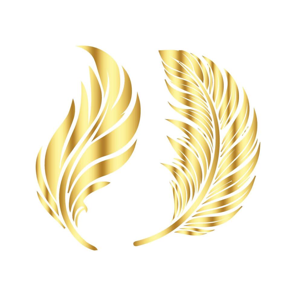 Golden feather isolated on white background vector