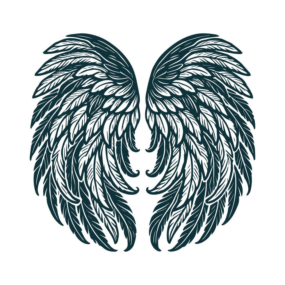 Two wings with feathers on a white background vector