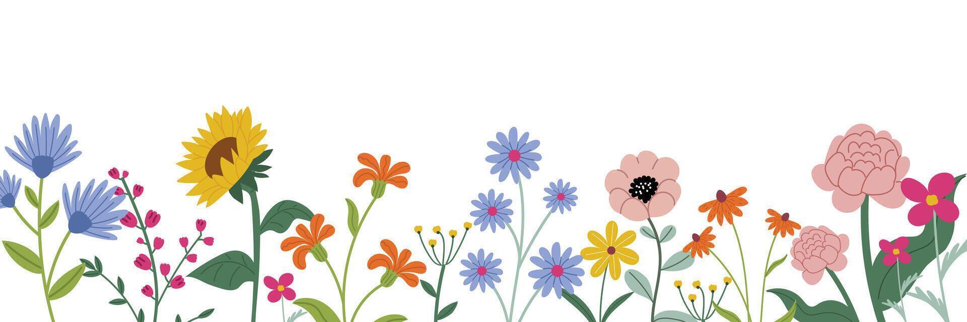 Set of colorful spring flowers in flat style. Field flower border with daisies, sunflowers, poppies, and wildflowers. Great for nature designs, patterns, seasonal decorations. White background. vector