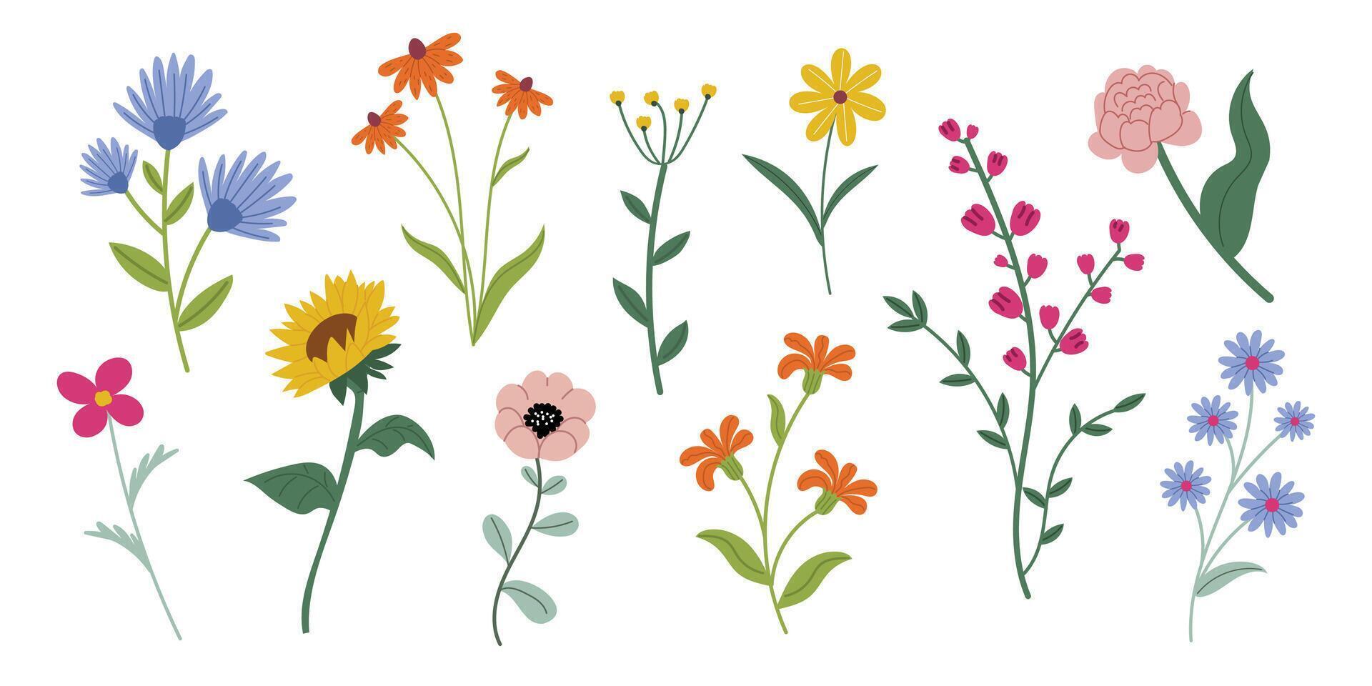Collectionl spring flowers in a flat style on a white background. Includes daisies, sunflowers, poppies, and wildflowers in various colors and shapes. Perfect for nature designs, patterns vector