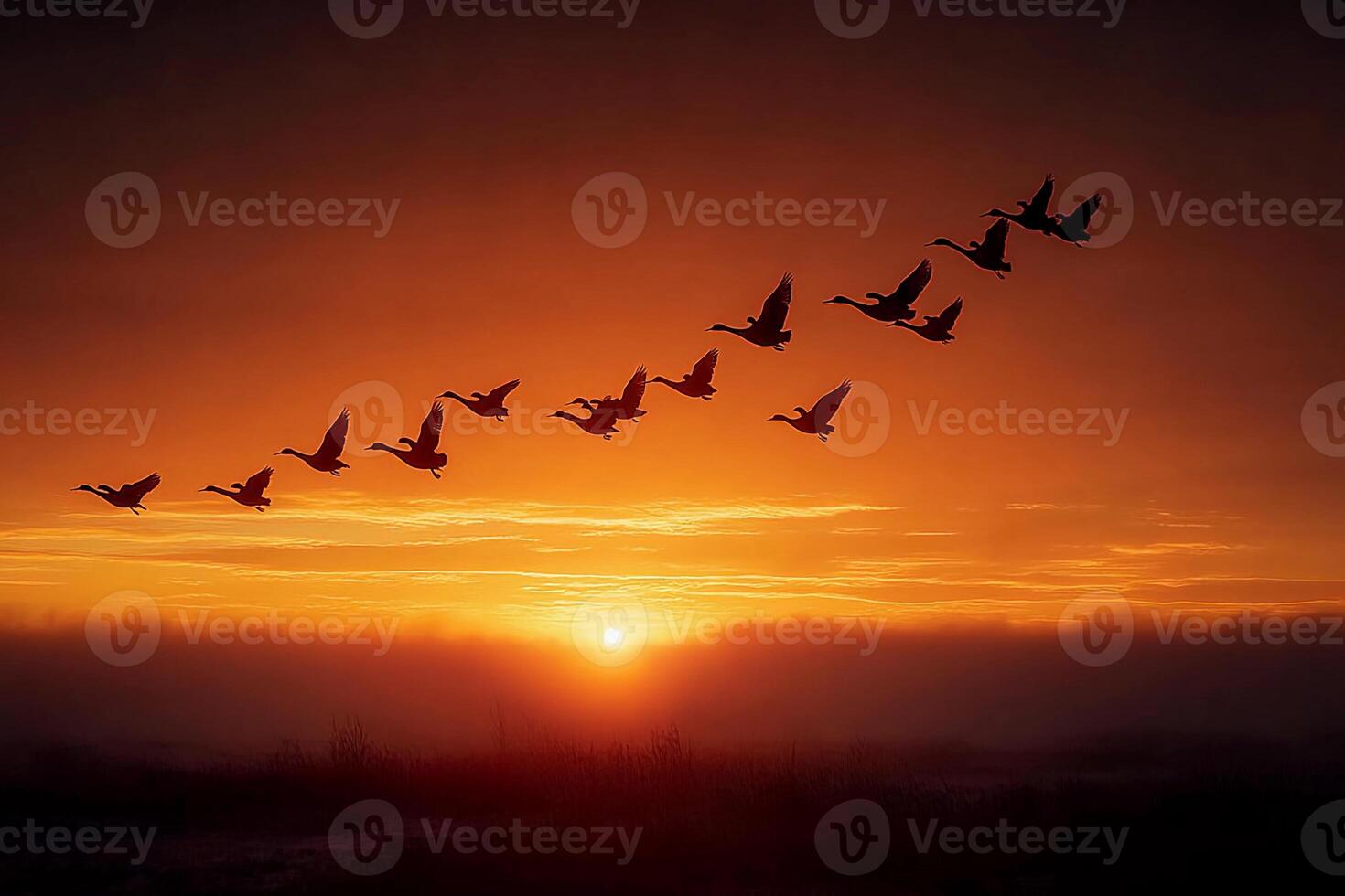 Geese flying in formation at sunset photo