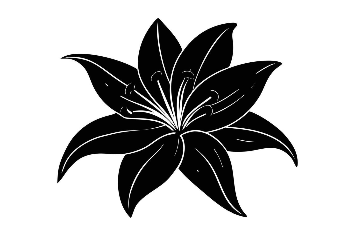 Graceful lily silhouette black and white illustration vector