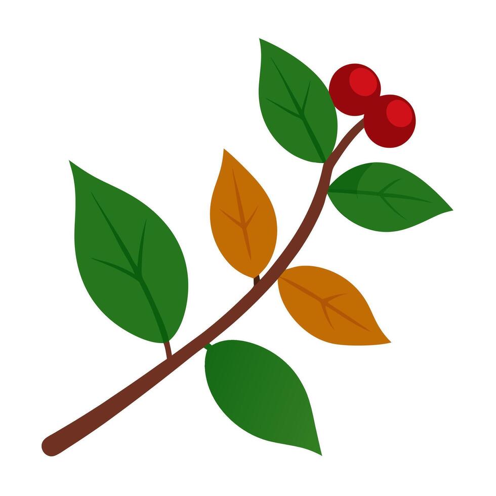 Free coffee bean icon for your designs vector