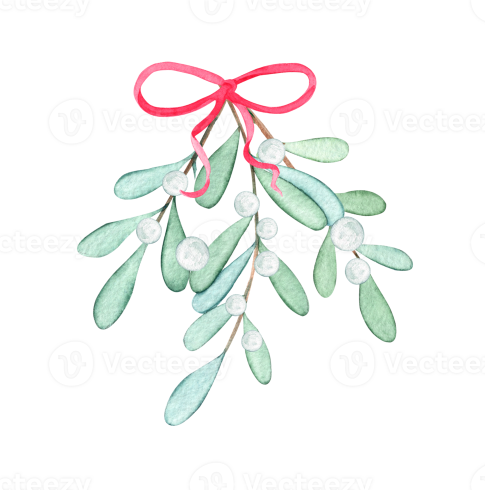 watercolor white mistletoe branch with red ribbon isolated png