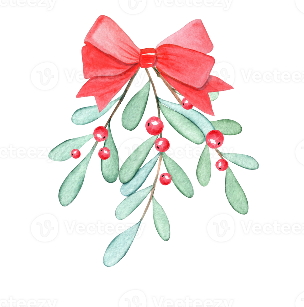 watercolor mistletoe branch with red ribbon and berries isolated png