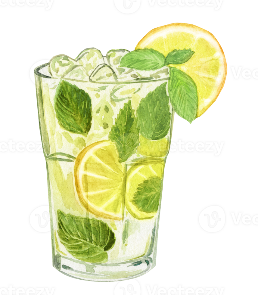 watercolor hand drawn lemonade cocktail glass with mint,lime and ice isolated png
