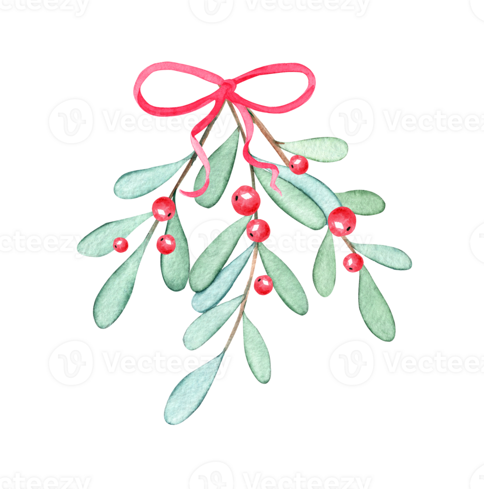 watercolor mistletoe branch with red ribbon isolated png