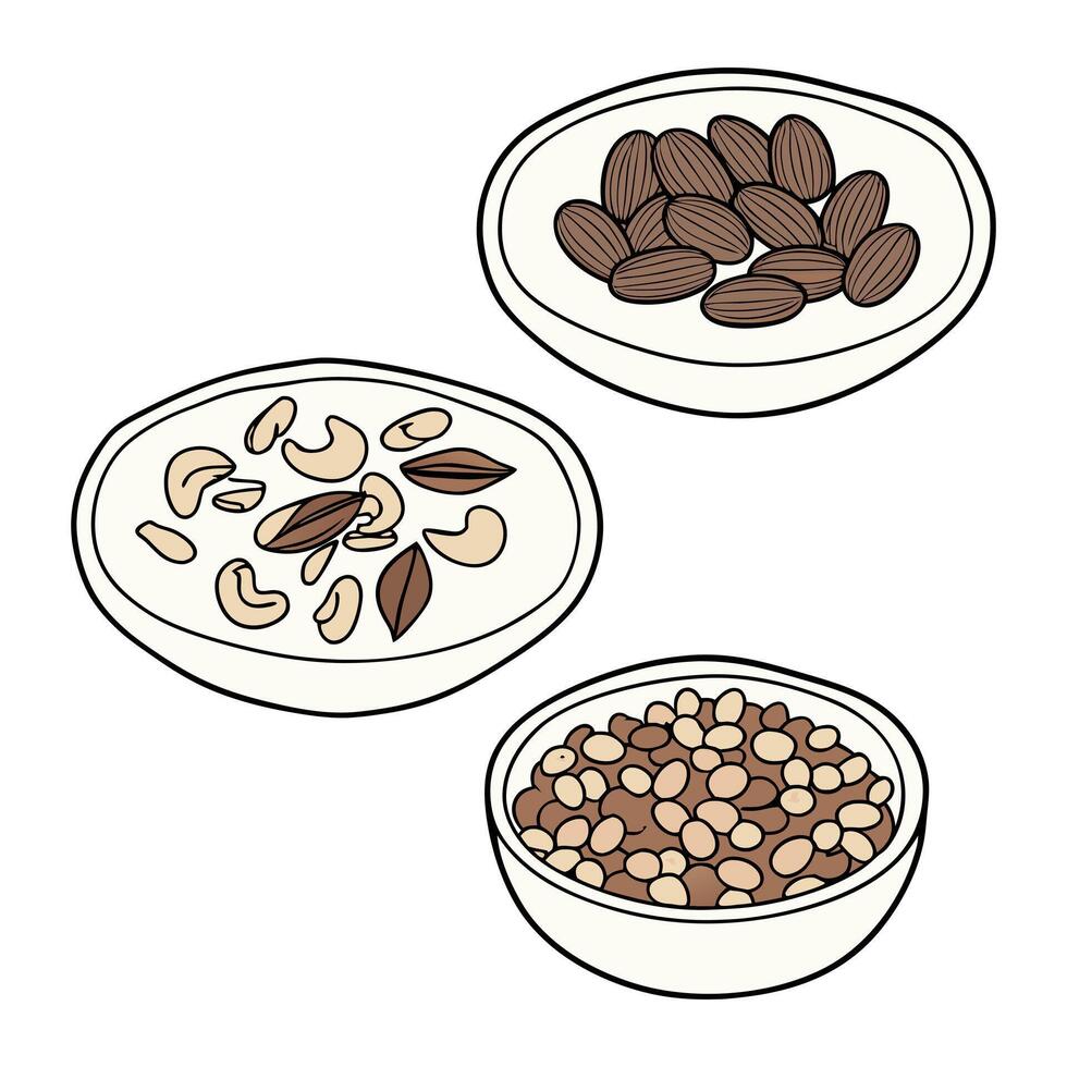 Assorted Dry Food in Bowls with Nuts, Seeds and Almonds vector