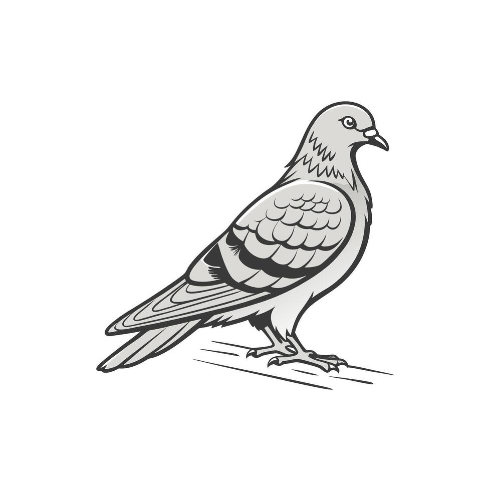 A black and white drawing of a pigeon art vector