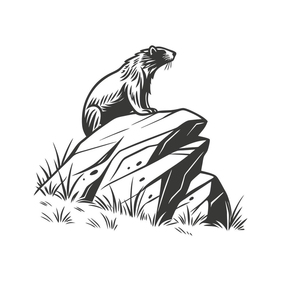 A black and white drawing of a groundhog sitting on a rock vector