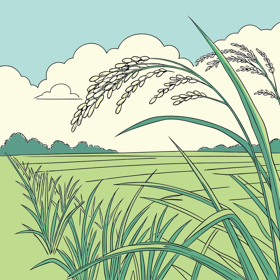 An illustration of a rice field with tall grass vector
