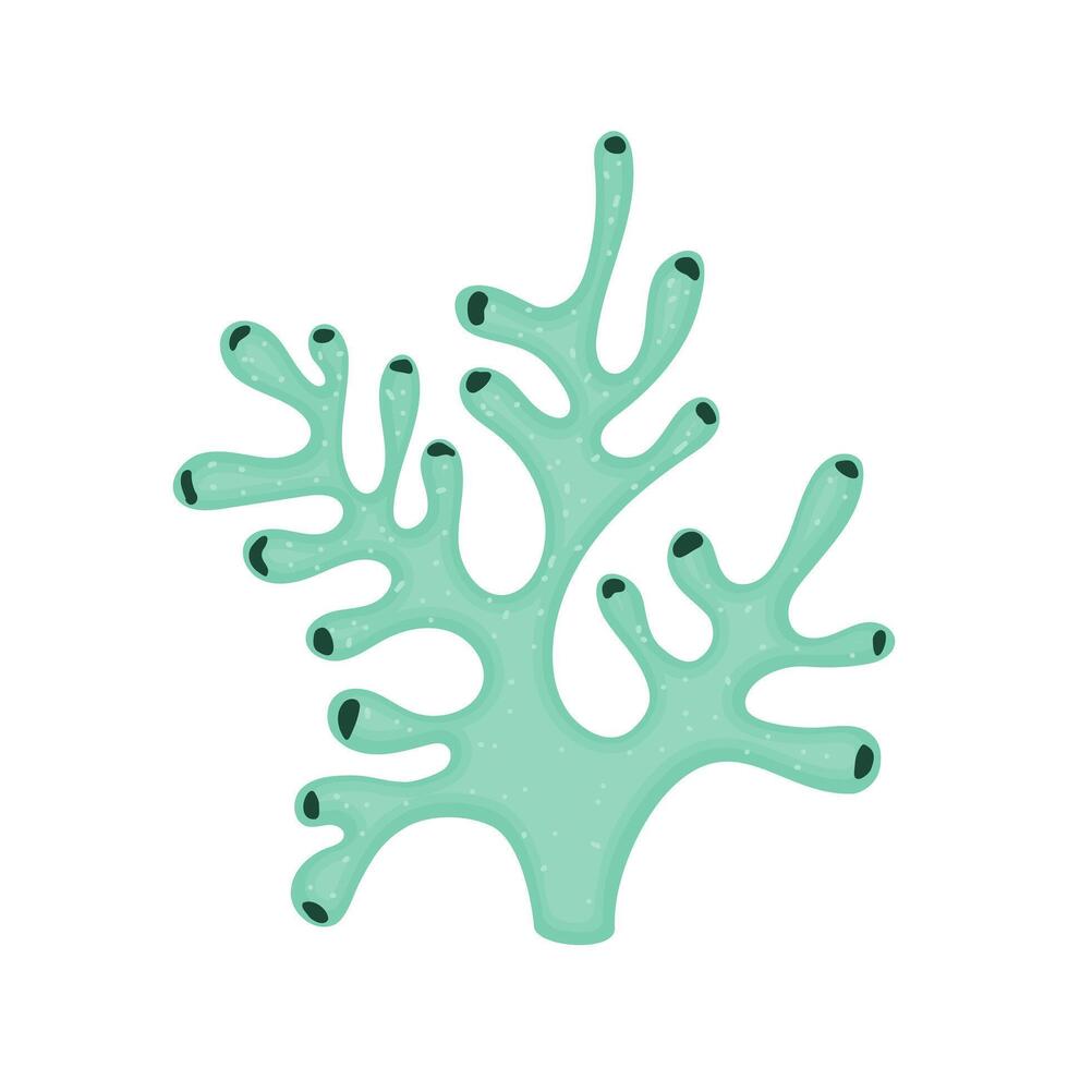 Coral reef branch. Fauna of sea underwater sponges. A marine turquoise azure plant with thick tubular structure. Underwater natural element hand drawing. vector