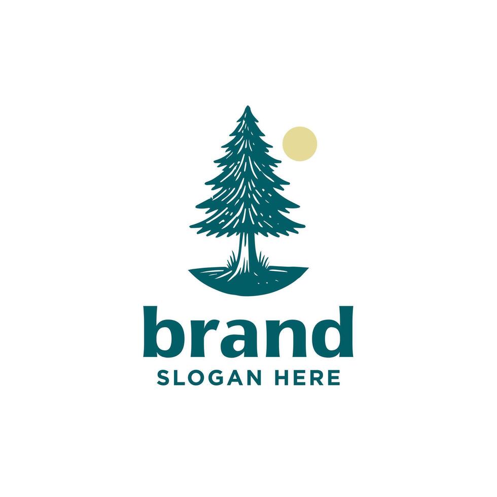Vintage Rustic evergreen fir conifer spruce cedar logo design.classic hemlock larch cypress tree vector