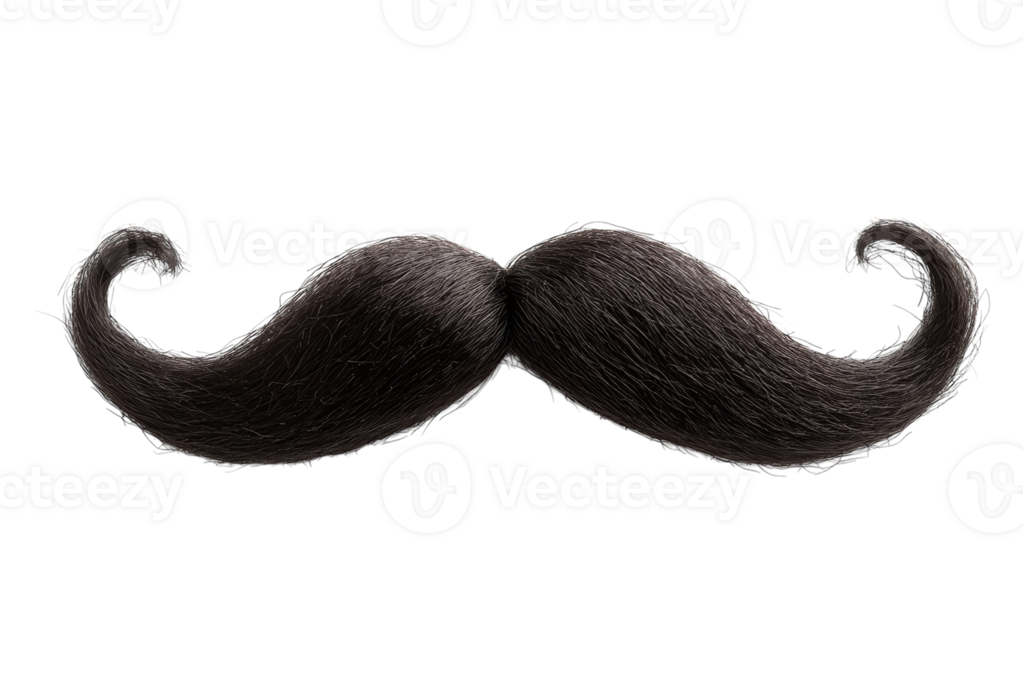 Unique black mustache with dramatic curls displayed on a plain background png