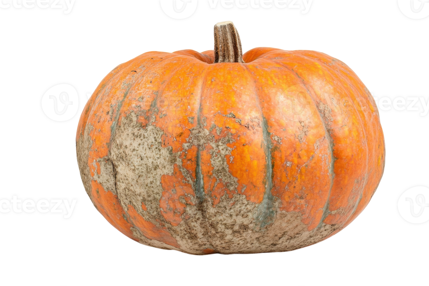 Unique orange pumpkin with distinct texture and color variations, perfect for autumn decorations and Halloween themes png