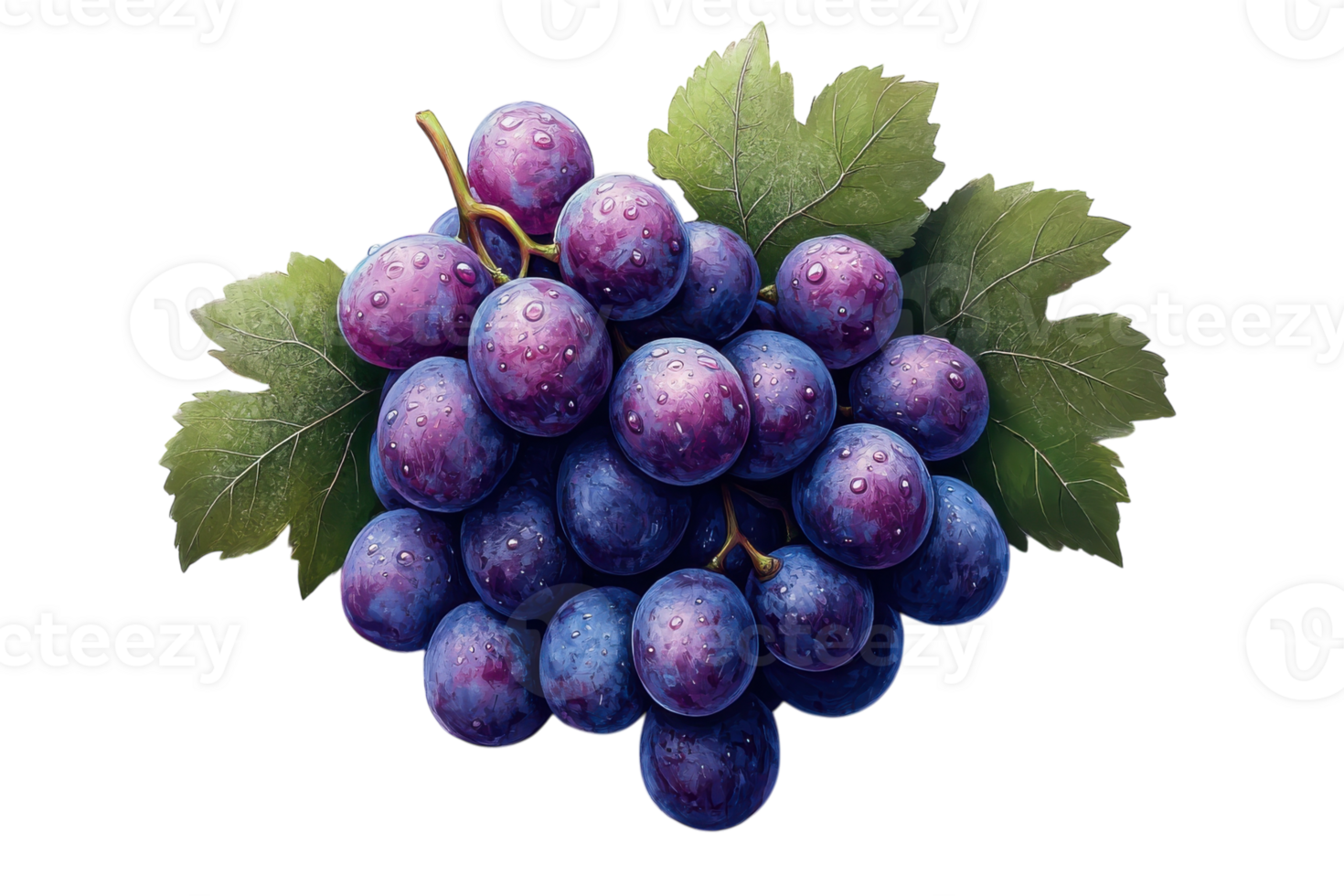 Freshly picked grapes with dew drops glistening under soft light in a garden during early morning hours png