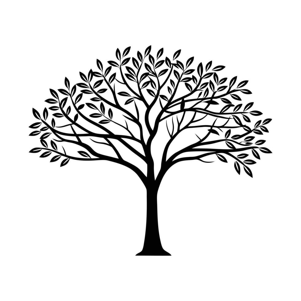 silhouette of a full, mature tree against a pure white background. vector