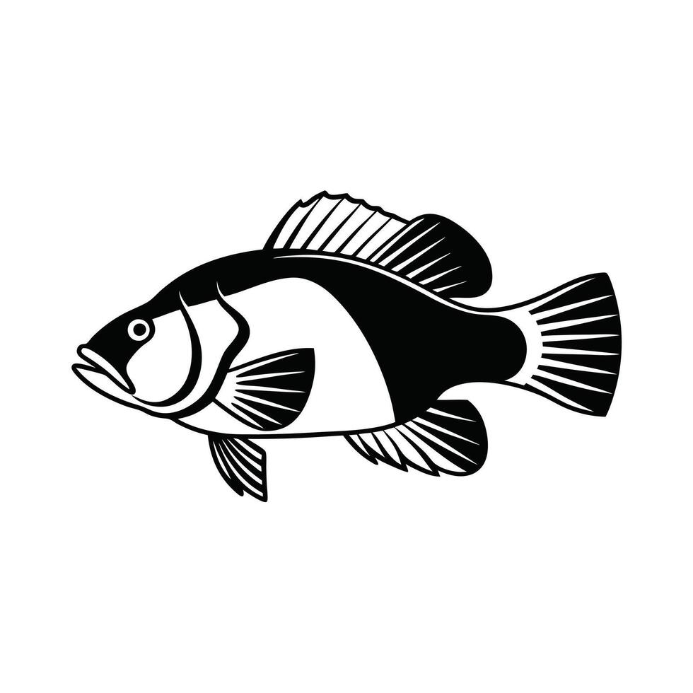 Silhouette of Fish Attracted to Bait in a Catchy vector