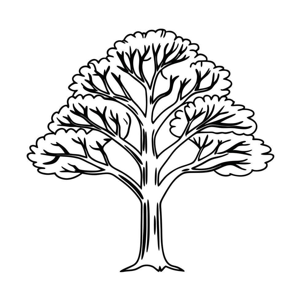 Simple Black and White Outline Drawing of a Tree symbol vector