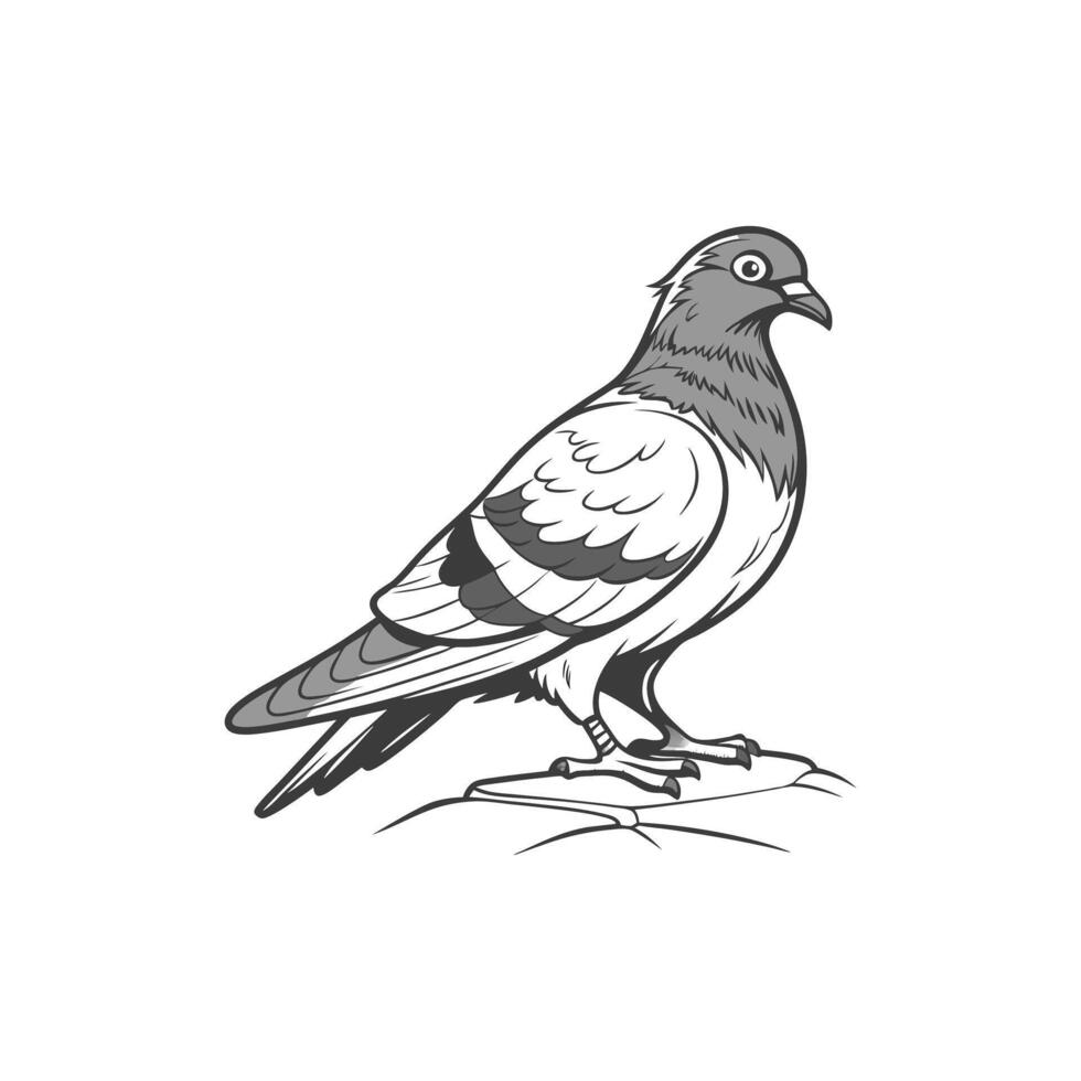 A black and white drawing of a pigeon art and illustration vector