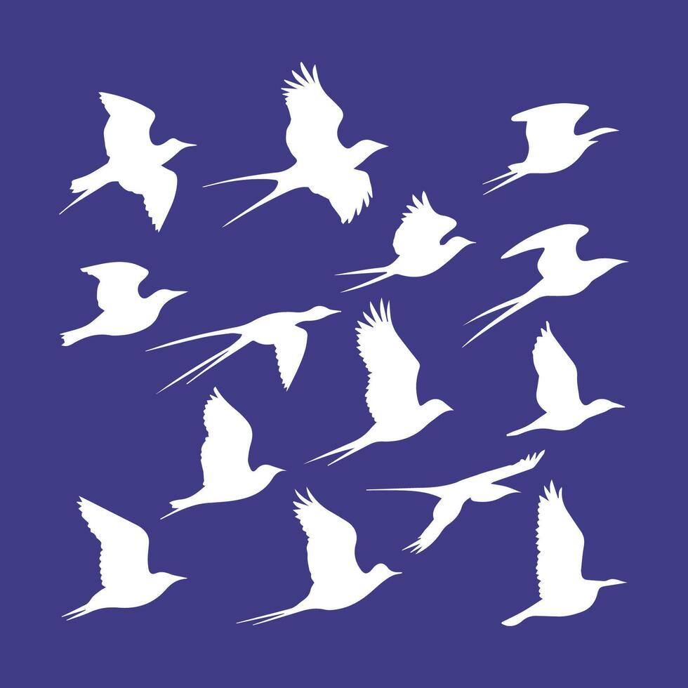 A collection of birds icon logotype from around the world vector
