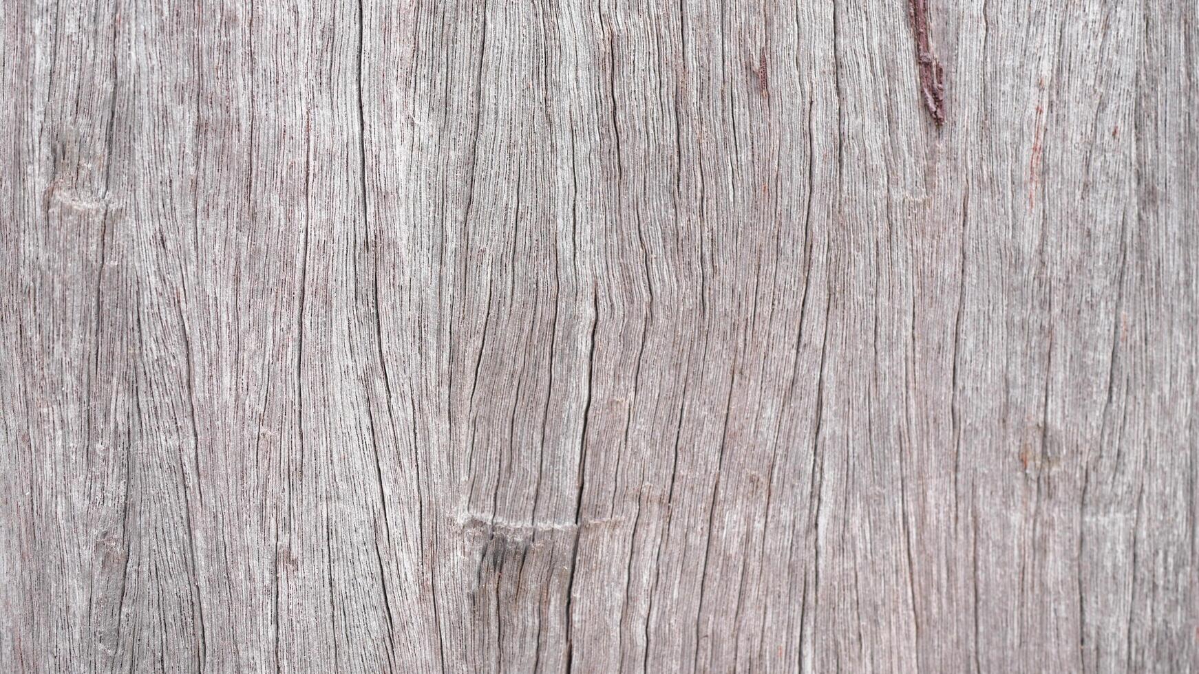 Weathered Wood Texture with Fine Grain and Natural Patterns photo