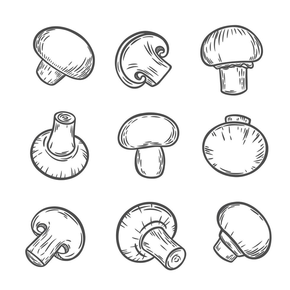 Set of mushrooms in engraving style vector