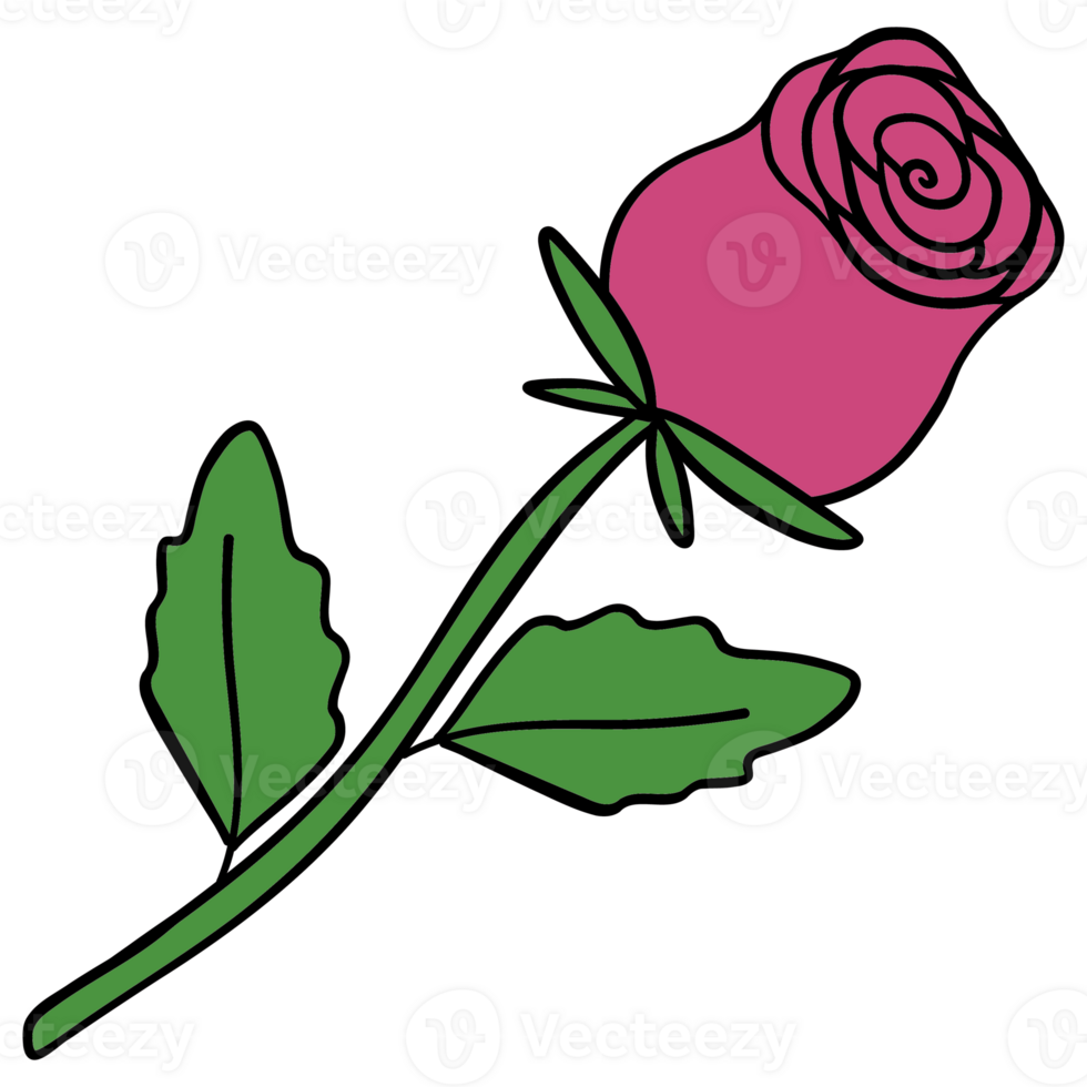 Valentine rose clipart romantic and cute rose illustration for cards, gifts, and digital art png
