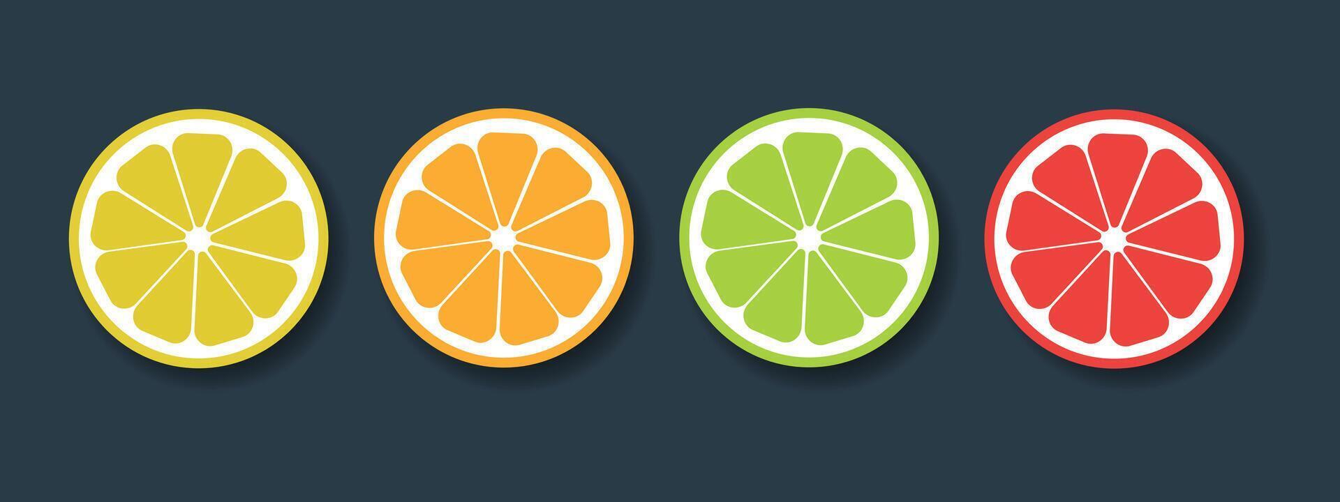 Citrus fruits set. Collection of lemon, orange, lime and grapefruit icons on a dark background. vector