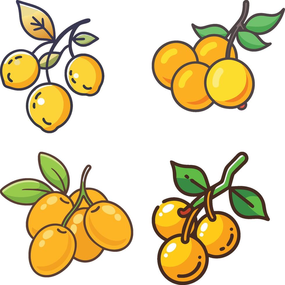 tangy golden rumberry high-quality bundle set ideal for menus, food and fruit concepts illustration. vector