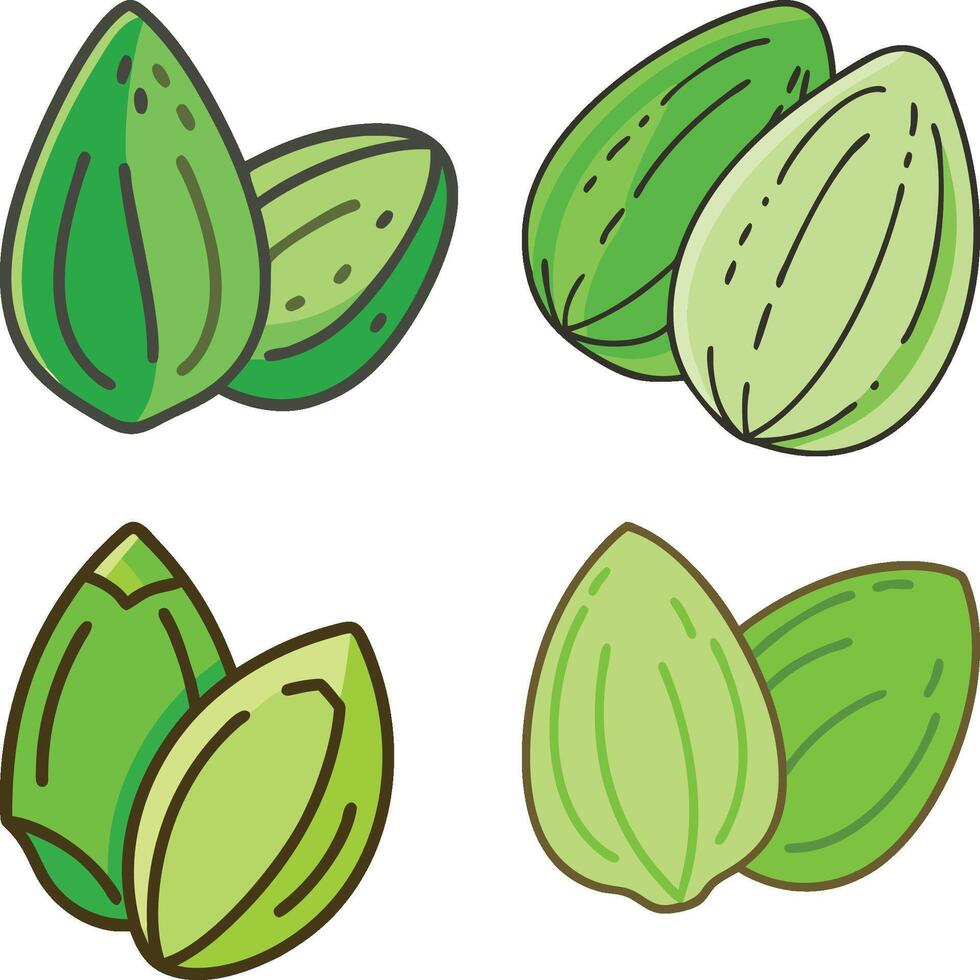 fresh green almond high-quality bundle set ideal for menus, food and fruit concepts illustration. vector