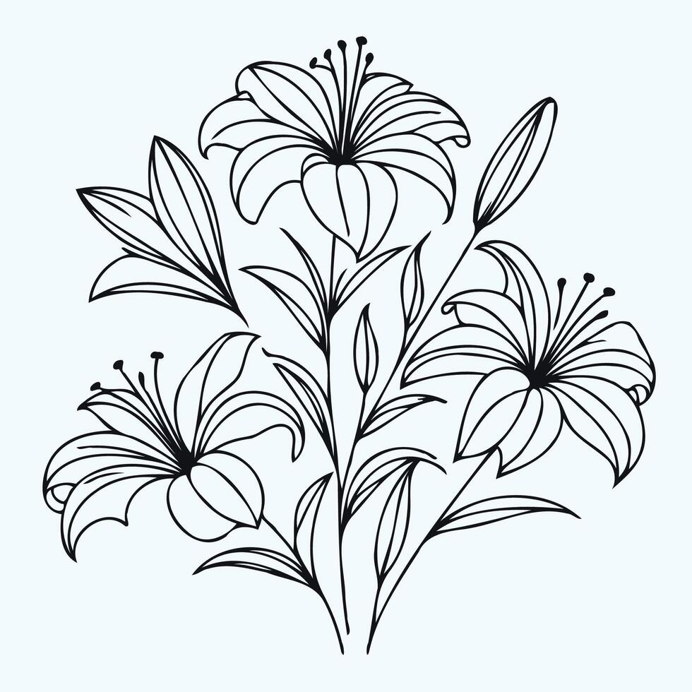 A black and white drawing of lilies, set of hand drawn black outline lily flowers isolated on white background vector