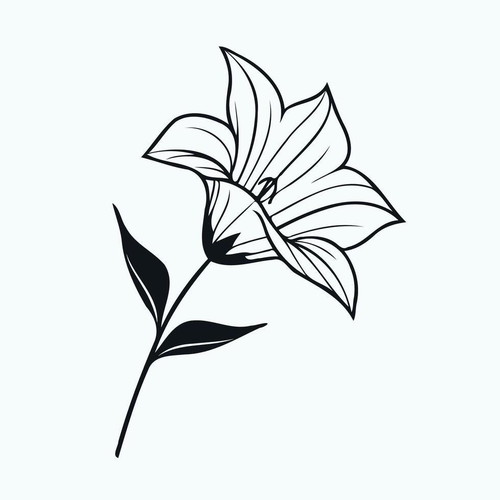 A black and white drawing of a flower, bluebell. Hand painted flower. Graphic campanula isolated on background. Botanical and wedding illustration. For designers, invitations, decoration, postcards vector